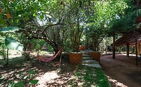 The Thick Forest